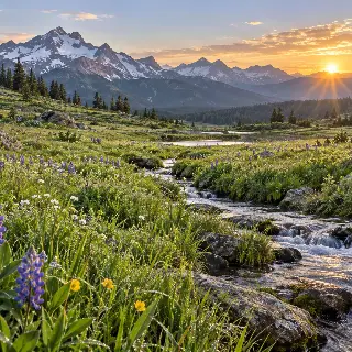 Alpine Meadow Morning