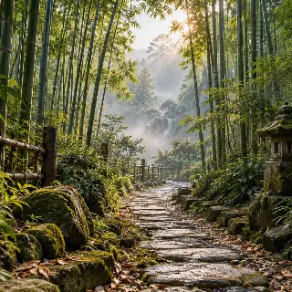 Bamboo Forest Misty Path