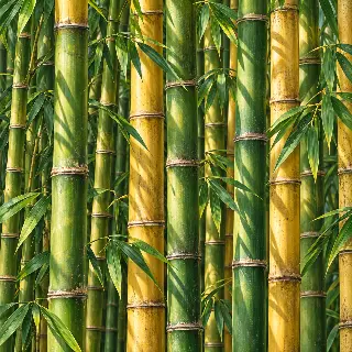 Bamboo Stem Lines