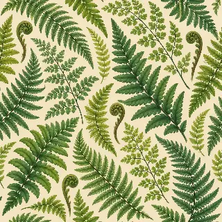 Fern Frond Rhythm