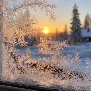 Frost Crystals Window