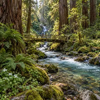 Redwood River Trail