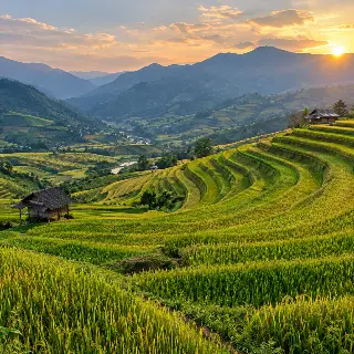 Terraced Rice Curves