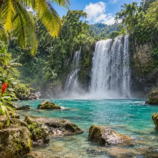 Tropical Waterfall Rainforest